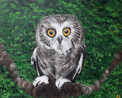 Painting: Little Owl