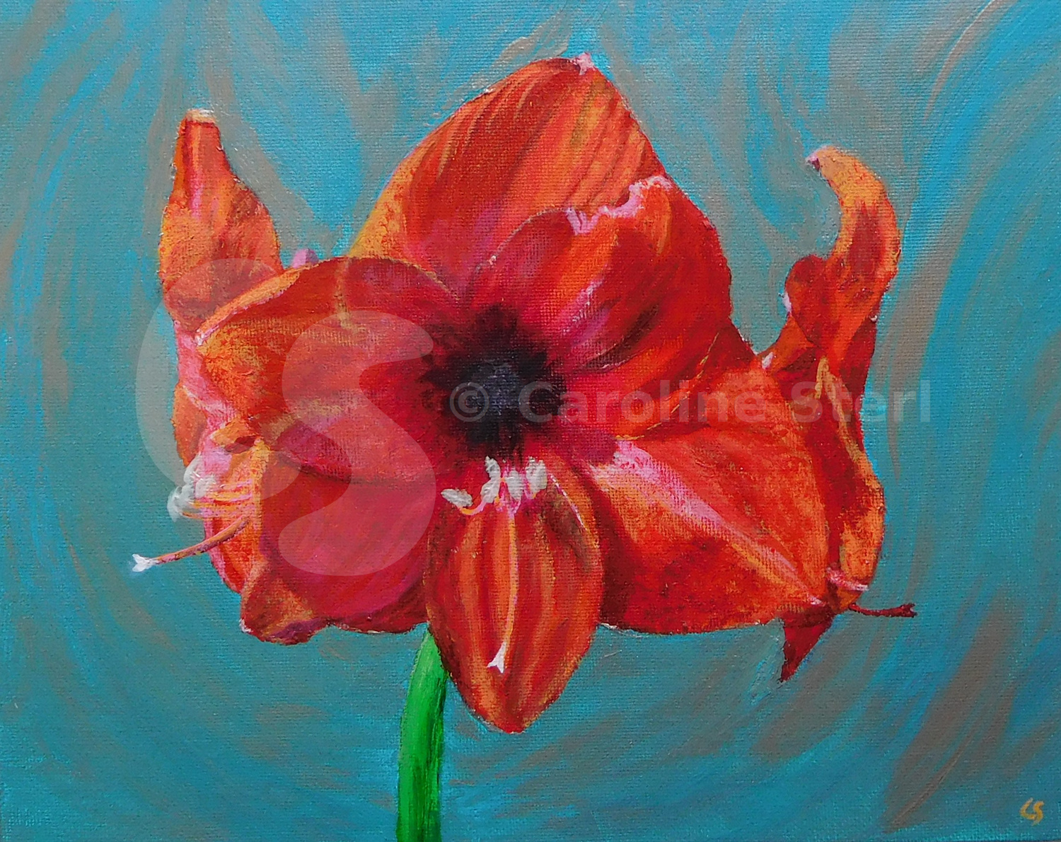 Painting: Amaryllis