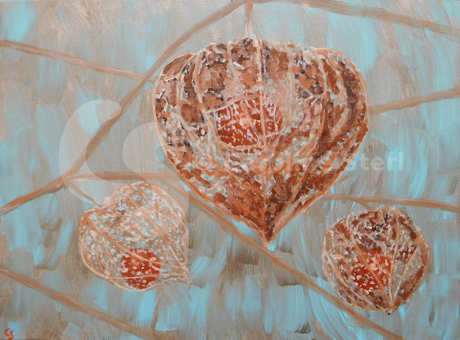 Painting: Lanterns (Physalis Alkekengi)