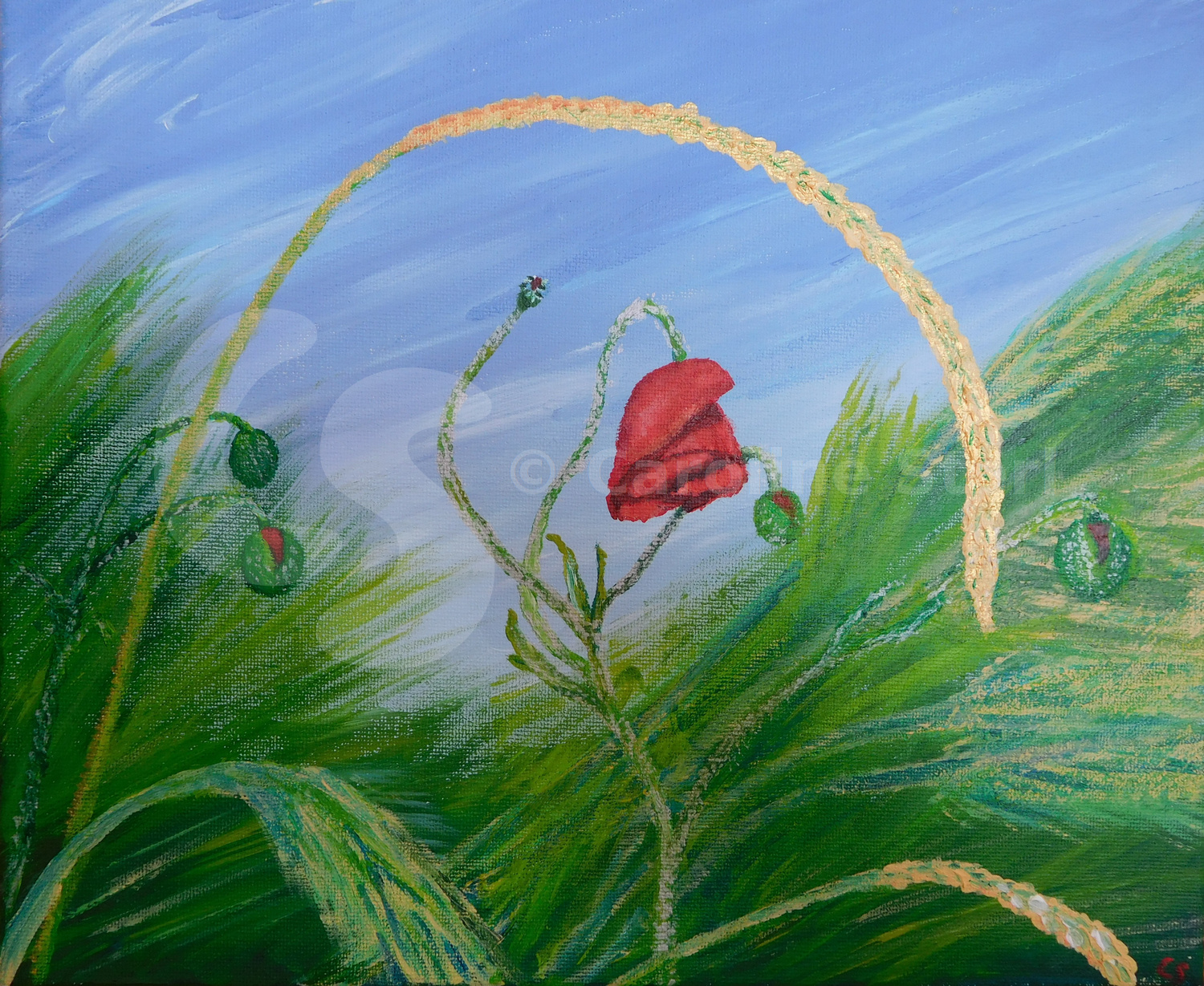 Painting: Poppy